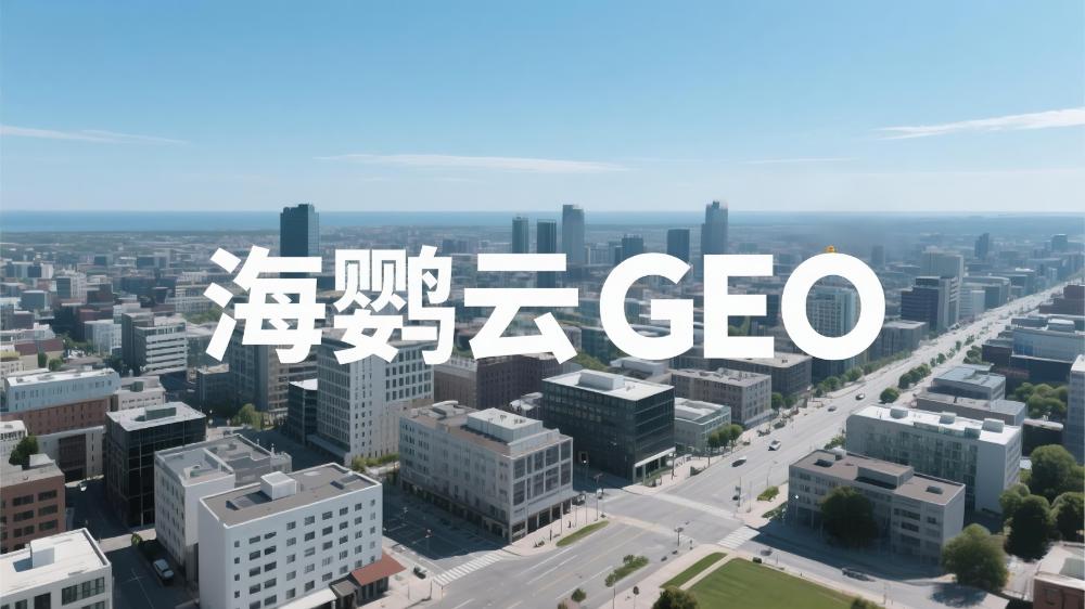 海鸚云：如何選擇合適的GEO優(yōu)化服務(wù)商